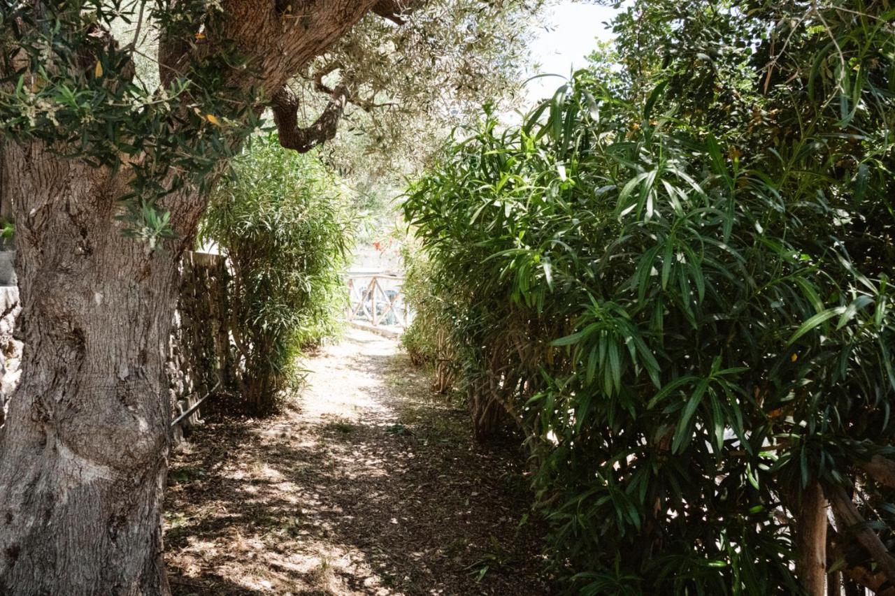 Casa Gioia Lejlighed Amalfi Eksteriør billede